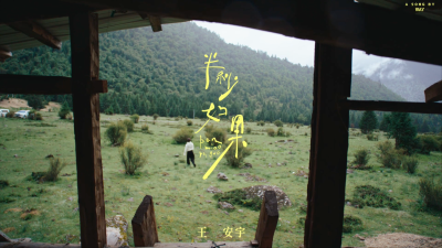 半秒如果 X 王安宇